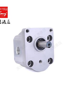 提供双向齿轮油泵CBS-D312 电液推杆中小型工程机械专用液压泵