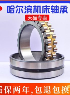 哈尔滨精密机床轴承NN3006 3007 3008 3009 3010 3011 3012 KP5P4