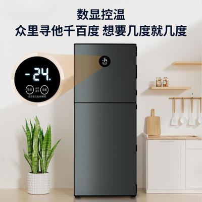 2025家用冰箱出租房宿舍小型一级节能新款冷藏冷冻两用车载冰箱
