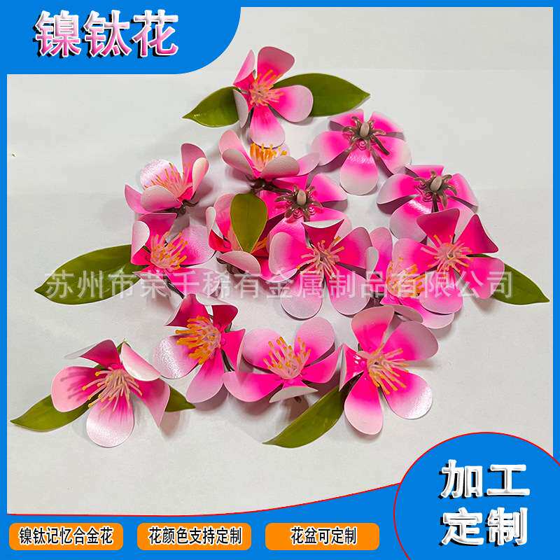 镍钛记忆温控合金花 双程镍钛记忆合金花 热胀冷缩魔术花
