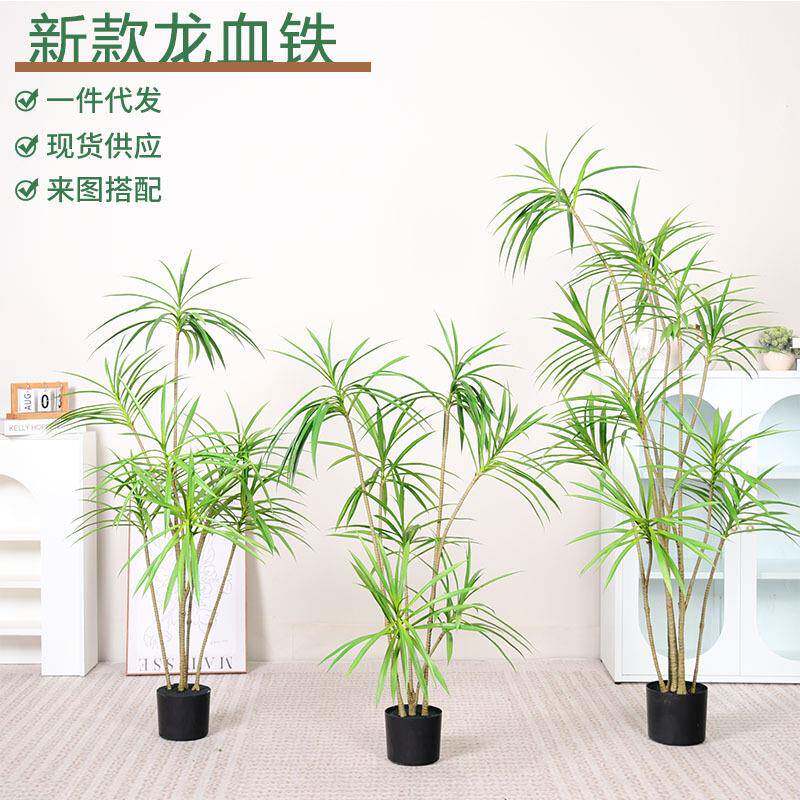 仿真龙舌兰剑麻盆栽热带植物商场装饰摆件龙血树绿植造景观龙舌兰
