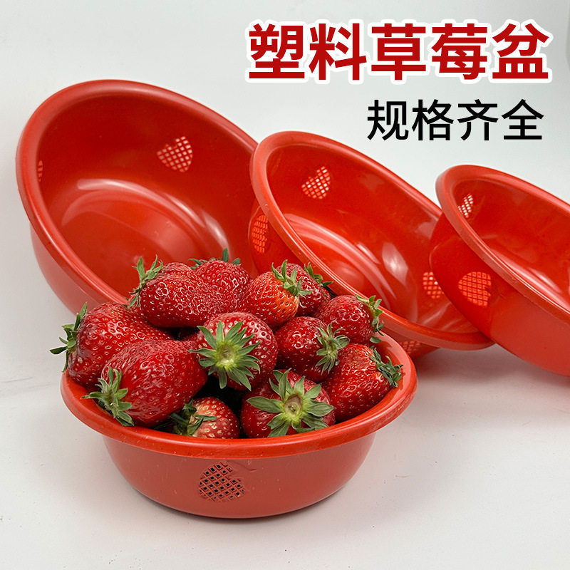 加厚采摘透气草莓盆水果盆塑料圆形盆樱桃蓝莓沥水篮家用透气沥水