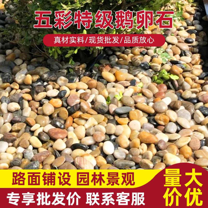 五彩抛光鹅卵石 天然彩色铺路装饰雨花石子 鱼缸水池造景垫底石头