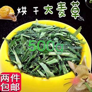 大9草段500g西兔粮提摩干草麦龙猫草仓鼠草小麦草豚鼠苜蓿草干 草