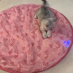 次日达猫捕猎毯静音玩具不扰民逗猫球垫躲避罩小猫自咪嗨解捕闷子