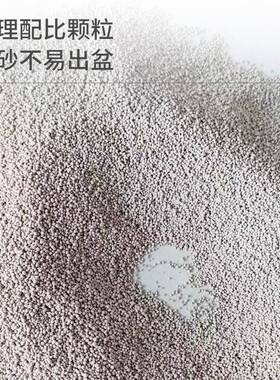 猫砂包邮10公斤20kg0斤除臭4柠猫檬沙膨土猫砂1润0斤猫咪YX5Y用品