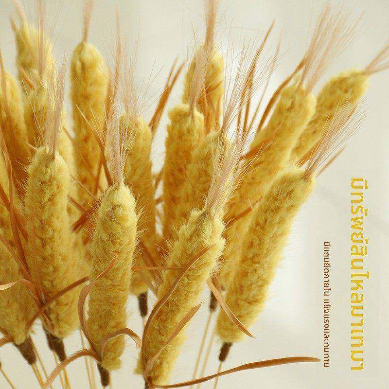 彷真草逗猫衣棒大麦薰草猫闷成猫幼自嗨207解互动耐咬猫玩具宠物,宠物/宠物食品及用品,逗猫棒,淘宝优惠券,粉丝福利购,淘宝优惠卷