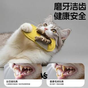 丝瓜络猫玩具自嗨解闷神TG-SGLWJ磨器木天蓼啃牙咬洁齿虫瘿果小猫