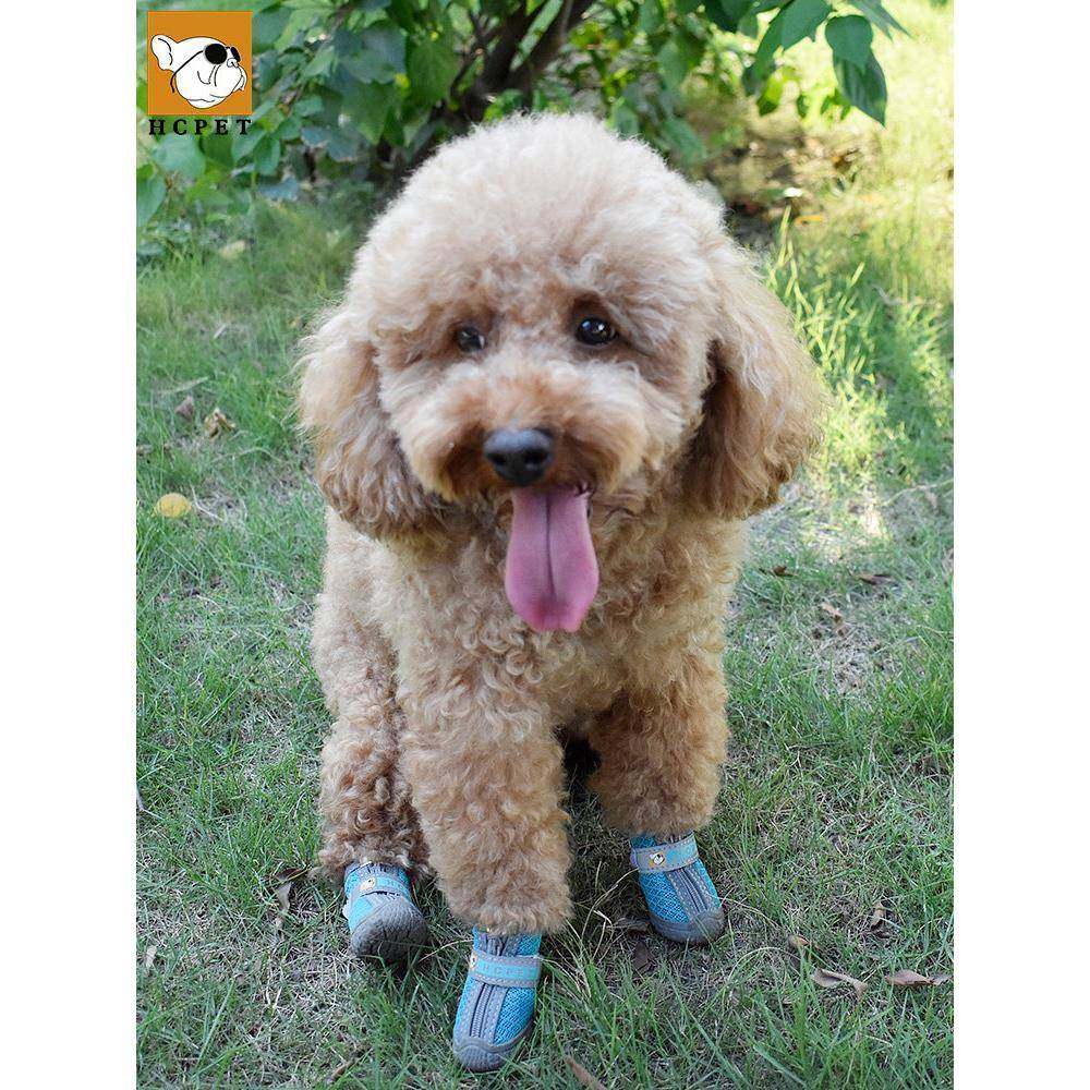 狗鞋是防和气的比熊卷毛宠物小狗水泰迪透小尺寸狗防脏户外TMA170,宠物/宠物食品及用品,宠物鞋子,淘宝优惠券,粉丝福利购,淘宝优惠卷