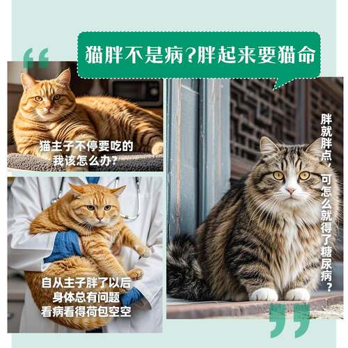次日达【官方皇正】家猫粮成猫减肥处方粮咪SAT34猫品3.5KG体重管