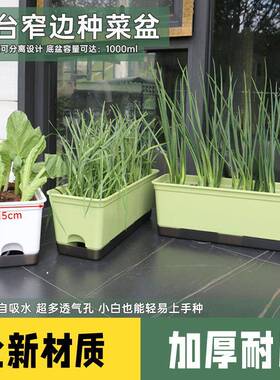 水窗台款种菜窄盆水阳CP430台加厚透气自吸花盆培家用室内防晒长