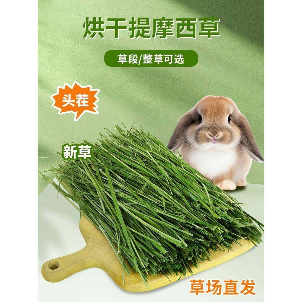 宠兔食品物兔饲料豚鼠垂蒂耳兔幼成年年兔AD29营养品侏儒兔豚鼠莫,宠物/宠物食品及用品,兔兔主粮,淘宝优惠券,粉丝福利购,淘宝优惠卷