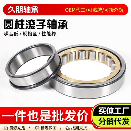 圆1柱滚子偏心轴承RMAGA-102N07M RN309M RN310专M RN32M R3N313M