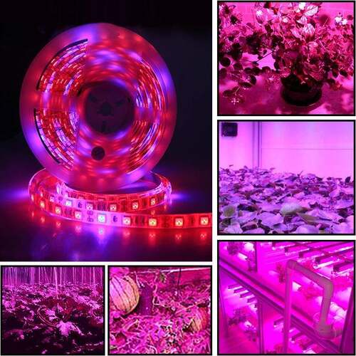 花卉蔬菜养殖灯LE防D5050灯带条12V水5050多肉类软生灯植物长光谱