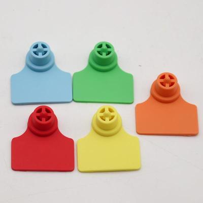 防篡改耳标小猪耳牌动物标识工具猪用耳标牌防脱落耳标精品耳牌