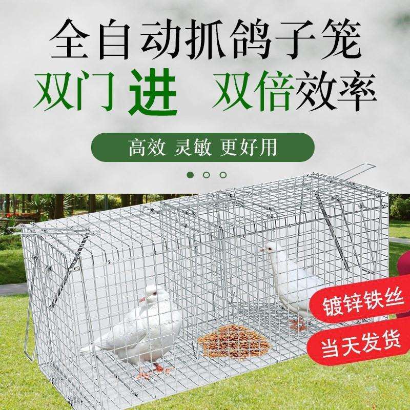 捕鸽神器全自动捕鸽子笼天落笼只进不出抓鸽子笼双逮鸽笼户外