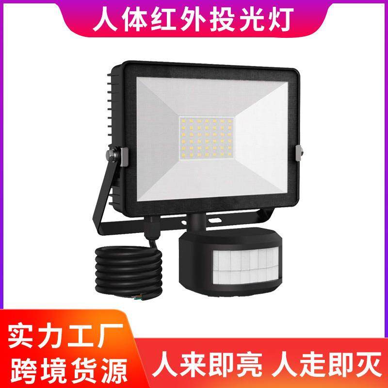 热卖PIR远红外LED人体感应投光灯泛光户外地石墨烯pir壁灯庭院灯