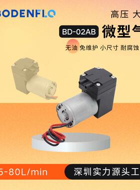 3L小空气泵12V24V无刷电机EPDM隔膜BD-02AB气泵隔膜泵无刷长寿命