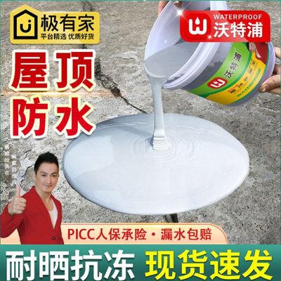 沃特浦防水补漏材料屋顶外墙涂料楼顶漏水裂缝补漏防水胶水补漏王