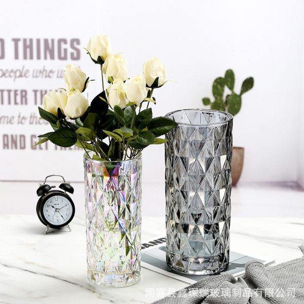 欧式轻奢创意造型电镀玻璃花瓶水培水养富贵竹居家艺术摆件装饰品