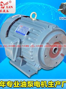 DALAN直插式T6B液压电机全铜线PV2R2油泵专用电机DL-132S-4-5.5KW