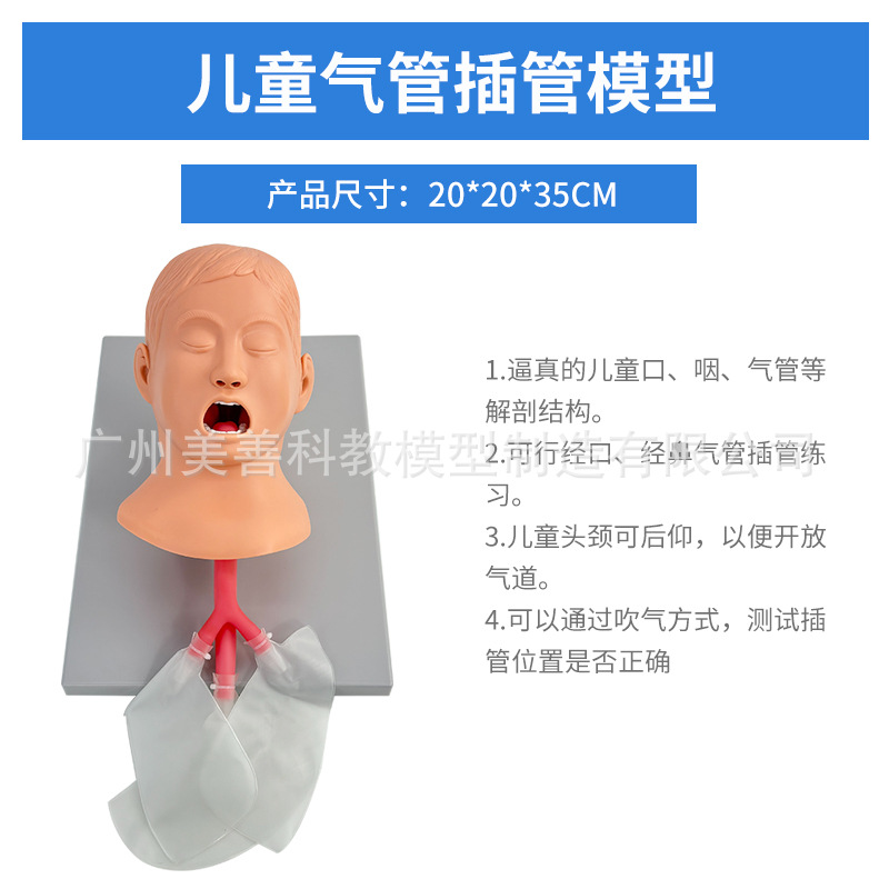 儿童气管插管模型 妇幼护理 护理模型 妇幼技能训练模型15/3