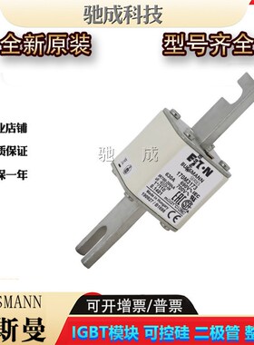 巴斯曼170M3173 170M4158 170M4159  低压保险丝诚信经营货源充足