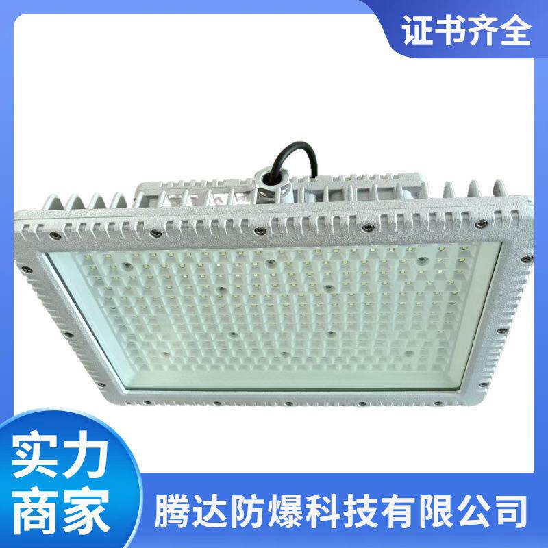 BAM三防道路灯防爆路灯头白光防水防尘高杆路灯镀锌杆150w