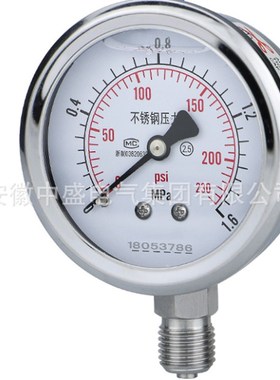 YB-251精密压力表