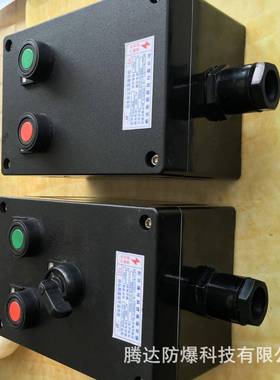 lcz8050-a2防爆防腐挂式操作柱工程塑料二钮操作柱生产供货