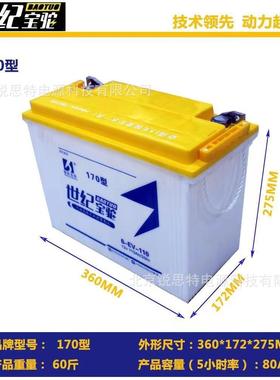 世纪宝驼水电瓶12v拉货三轮车6-EV-110（170型）工程车60v蓄电池
