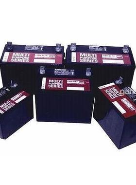 大力神(西恩迪)蓄电池C&D12-9LMBT12V9AH大力神蓄电池