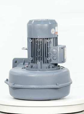 MS405-200工业炉具隔热鼓风机 中压鼓风机 0.2KW透浦多段中压风机