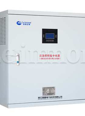 厂家应急照明集中电源配电箱LM-D-1KVA DC24V 120min智能疏散指示