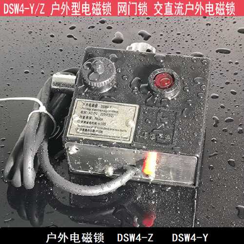 DSW4-Z(Y)户外电磁锁DSW1-II SW4-Y/Z J-D-Y-D 户外电磁锁 接地电