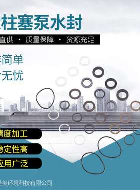 高压柱塞泵意大利AR泵配件RTP水封42159密封圈