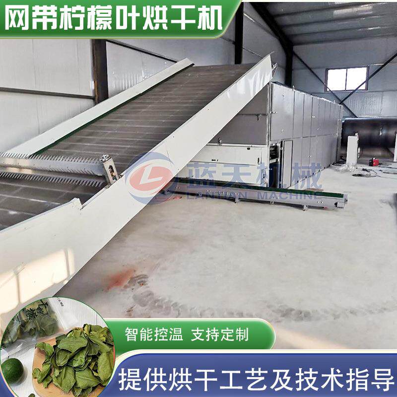 皱皮柠檬叶烘干机 粗皮干柠檬叶毛里橙叶干燥机 网带柠檬叶烘干机