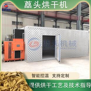 藠头烘干机 荞头野小蒜蒸汽式烘干房 全自动藠头清洗烘干整套设备