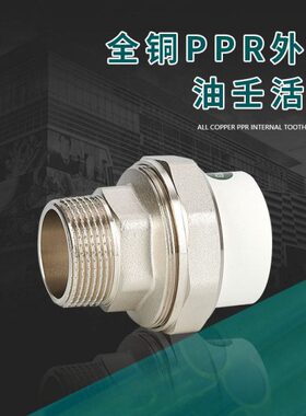 PPR外牙活接油壬接头由拧白色绿色热水器太阳能水管热熔全铜配件