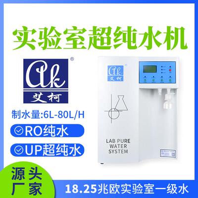 艾柯超纯水器6L-80L/H检验室用超纯水一级水三级水制取设备