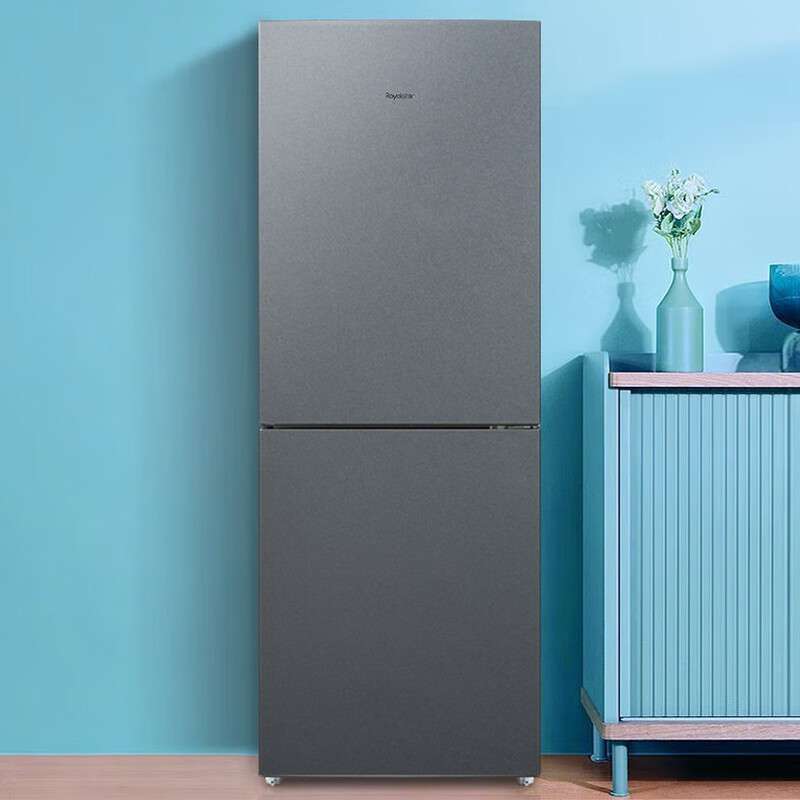 荣事.达BCD-160直冷两门冰箱160L直冷型双开门双门家用冰箱(YZ)