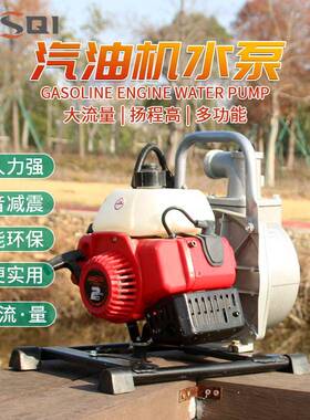 禄斯奇汽油机水泵1E40F-6小型二冲程单缸1.34/HP 抽水机农用