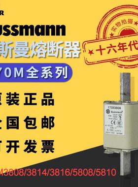 Bussmann170M系列保险丝快速熔断器170M3808/3814/3816/5808/5810