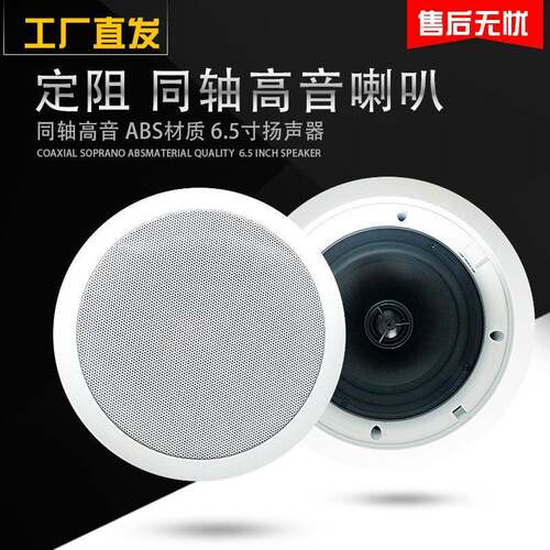 工厂60W定阻无边框吸顶音响同轴高音吸顶喇叭天花板音箱