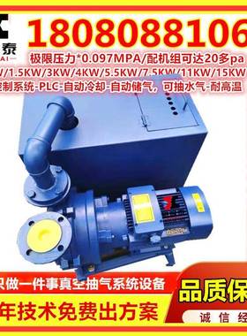 2BV5131水环真空机组闭环真空泵直联式真空泵5161SKA水环式真空泵