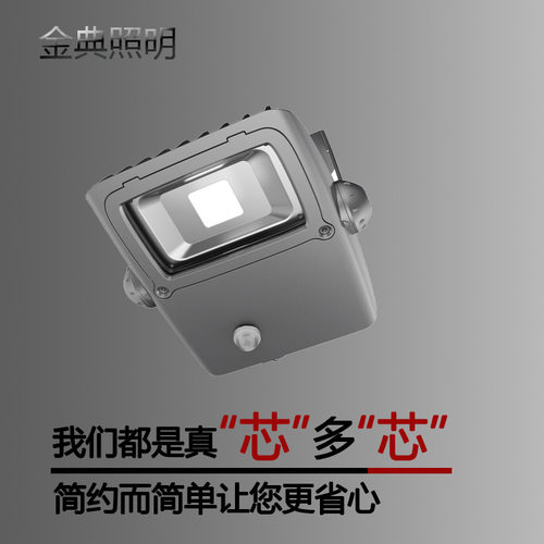 厂家供应 LED投光灯 100W户外泛光灯 路灯照树灯 足瓦亮款