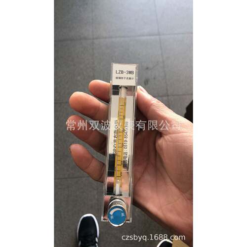 LZB-6WBLZB-6WB流量计双波仪器