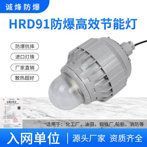 HRD91防爆节能LED灯吸顶灯法兰式护栏式吊杆弯管式防爆灯IIC隔爆