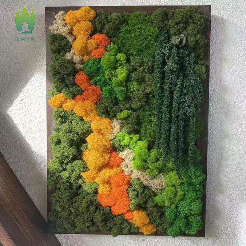 鹿角藓植被藓永生苔藓植物墙造景青苔真花艺材料仿真景观干花装饰