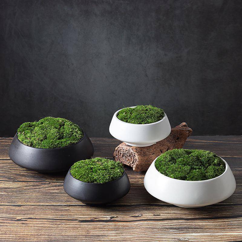 现代北欧新中式永生苔藓植物盆景家居样板房客厅书房桌面摆件花艺